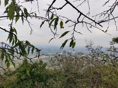 -阳台山自然风景区