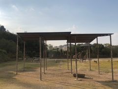 -宁波野生动物园
