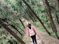 -金堂县云顶石城风景区