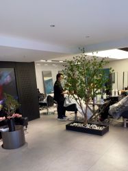 点击看大图 -付军剪艺JF ProSalon