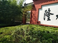 -百脉泉景区