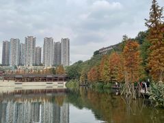 -重庆彩云湖湿地公园