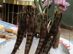-喜聚薈·花膠雞海鮮火鍋(越秀店)