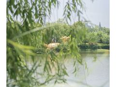 -南通濠河风景名胜区