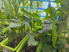 -红黄蓝幼儿园(颐东苑店)