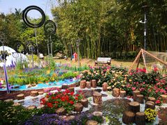 -深圳仙湖植物园