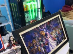 -浣熊部落ps4 ps5 switch 电玩(茶店子店)