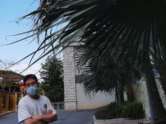 -灵玲国际马戏城
