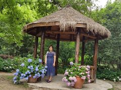 -上海共青森林公园