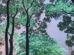 -金鸡湖桃花岛
