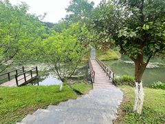 -常德桃花源景区