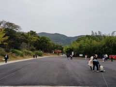 -习家池