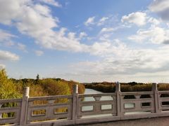 -广富林郊野公园