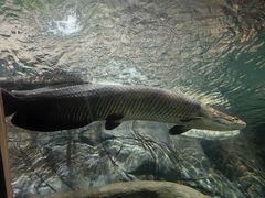 -上海海洋水族馆