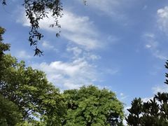 -西安国际创新人才交流中心•药浴温泉