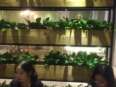 大堂-潮堂(环球金融中心店)