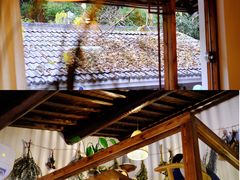 -竹子咖啡bamboo coffee