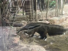 -长鹿旅游休博园