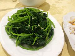 蒜蓉番薯叶-电白鸭粥店(下沙二坊88号店)