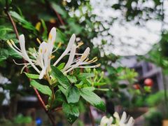 -河坊街景区