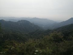 -大岭沟猕猴桃谷风景区