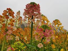 -中国天府农业博览园