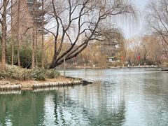 -济南大明湖景区