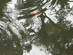 -大妙火锅·非物质文化遗产(东湖公园店)