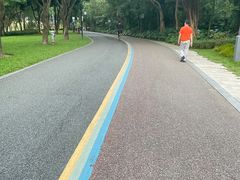 -顺峰山公园