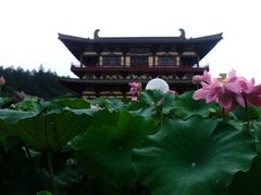 -庐山风景名胜区-东林大佛