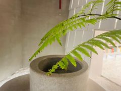 -二酉书店TOYOU BOOKS