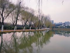 -滨湖塘西河公园