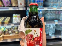 -谢列梅捷沃国际机场