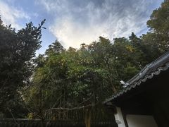 -汇龙潭