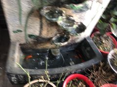 -活鱼馆(宜兴埠店)