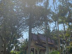 -西双版纳傣族园