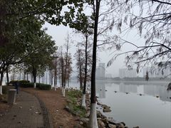 -飞来湖湿地公园