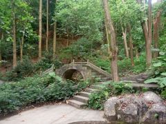 -广州市帽峰山景区