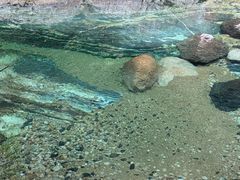 -黄山翡翠谷景区