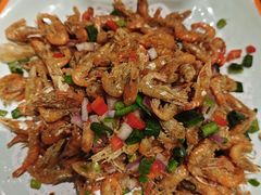 -向外鱼乐·土菜·虹鳟鱼