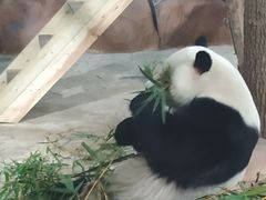 -南宁市动物园