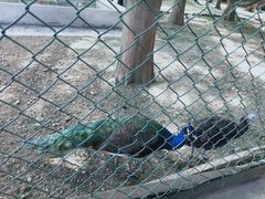 -南京金牛湖风景区