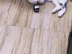 -百金通黄金回收首饰定制维修(珠江路总部)