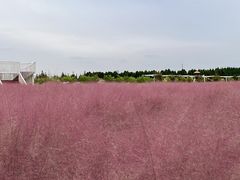 -嘉北郊野公园