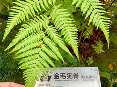 -广州神农草堂中医药博物馆
