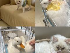 -怪兽屋·羊驼·猫咖·狗咖(俊华广场店)