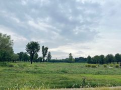 -汉长安城未央宫国家考古遗址公园