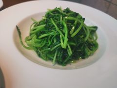 清炒鸡毛菜-金枝玉叶上海人家食府(三里河店)