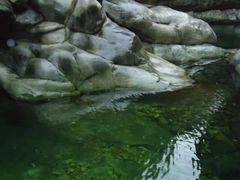 -陕西省红河谷森林公园-游客中心