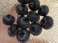 -畅想国度健康水会(民治店)